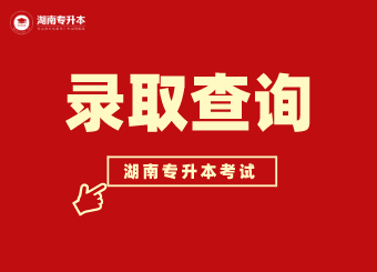湖南專升本錄取通知書上都有什么？