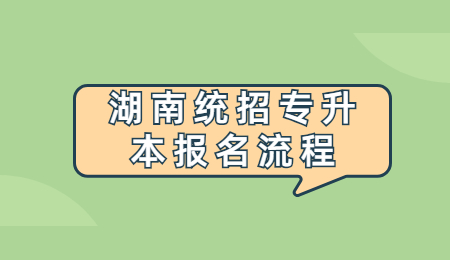 湖南統招專升本報名流程