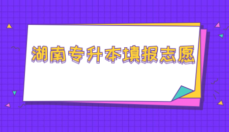 湖南專升本填報志愿