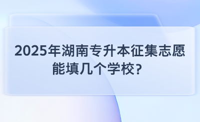 2025年湖南專升本征集志愿能填幾個學校？手把手教你“撿漏”上岸！